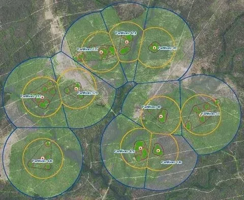 Aerial map of red-cockaded woodpecker cluster partitions with foraging buffers